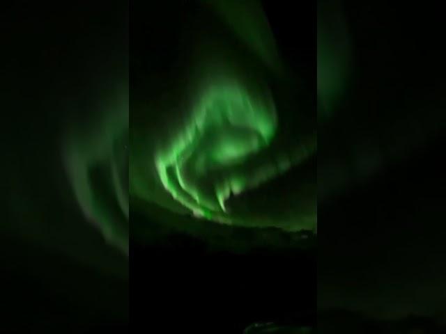 I didn’t think it would be THIS epic  #iceland #northernlight #icelandwinter #northernlightsiceland