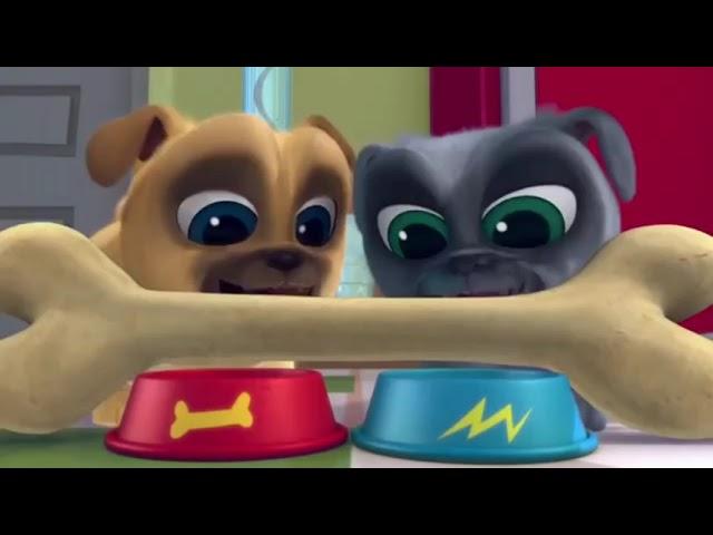 Puppy Dog Pals Theme Song For 1 Hour Straight | Bingo & Rolly Song Funny Kid Cartoon | Robert Films