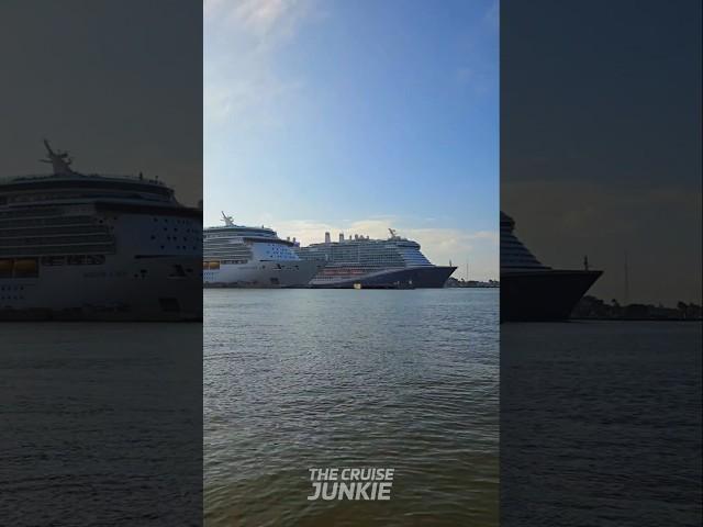 Cruise Ships Parade! ️ #cruise