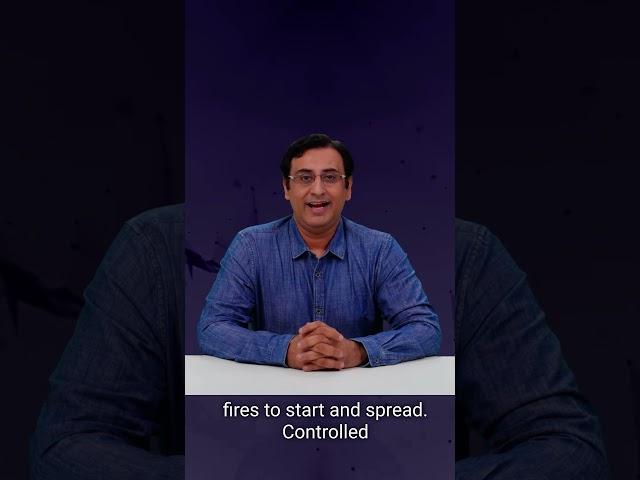 The Most Important Hack to Prevent Forest Fires | Marketing | AI