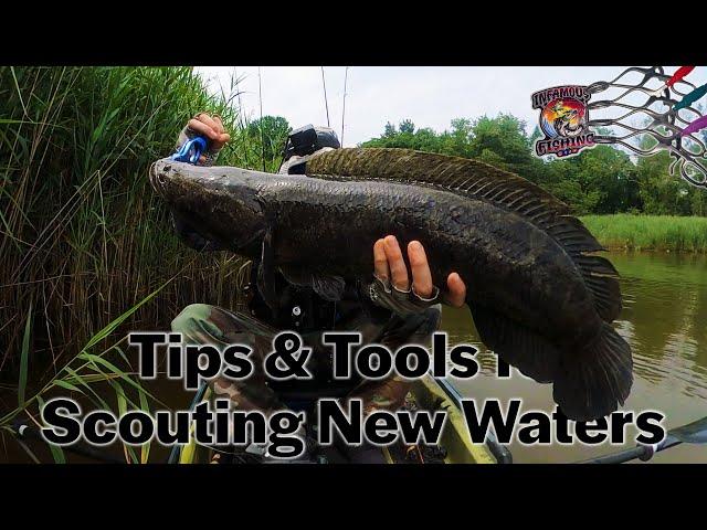 Scouting New Waters: Tips, Tools, NEW Jaw Cranks, and a MASSIVE Snakehead