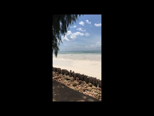 BlueBay Beach Resort and Spa Zanzibar Virtual Tour
