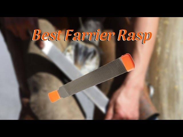 Best Farrier Rasp - Top Five Farrier Rasp of 2021