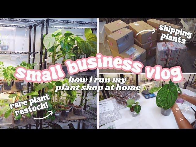 Running a Plant Store From Home Vlog🪴: How To Pack Plants,Packing Shop Orders, Rare Plant Restock!