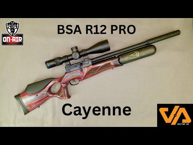 BSA R12 pro Cayenne 'Best BSA Yet?'