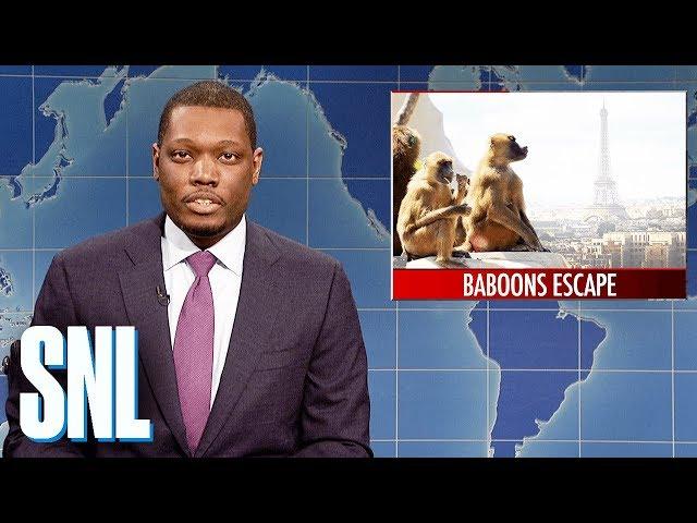 Weekend Update on Baboons Escaping Paris Zoo - SNL