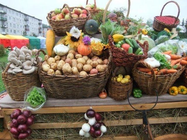 Презентация проекта «Электронная ярмарка в РТ» в ИА «Татар-информ»