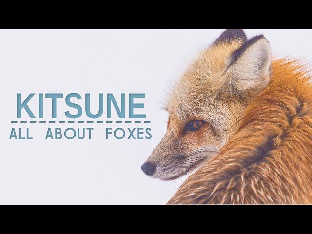 KITSUNE - All about foxes in cultures