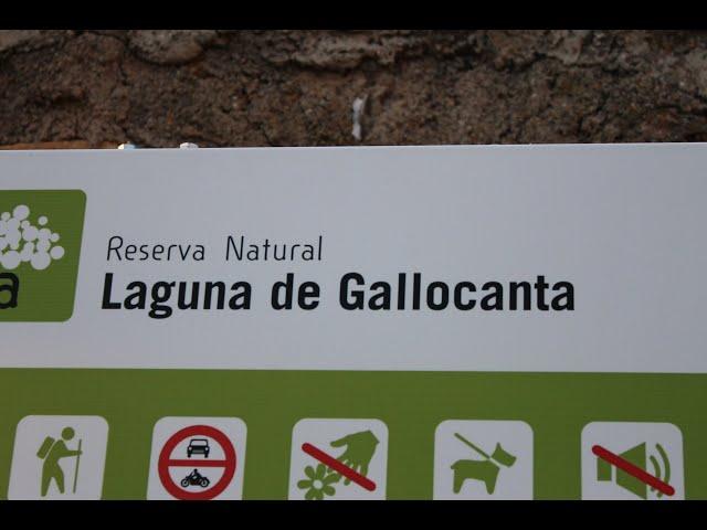 Gallocanta