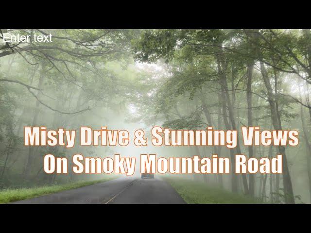 Misty Drive Through the Great Smoky Mountains/Summer Trip to Elkmont Fireflies