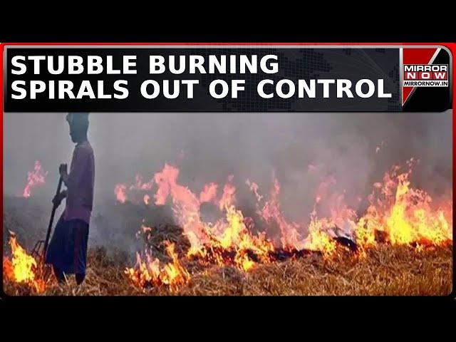 Delhi Pollution: Stubble Burning Rages On Full Scale; 27,319 Farm Fires Reported Since Sept | News