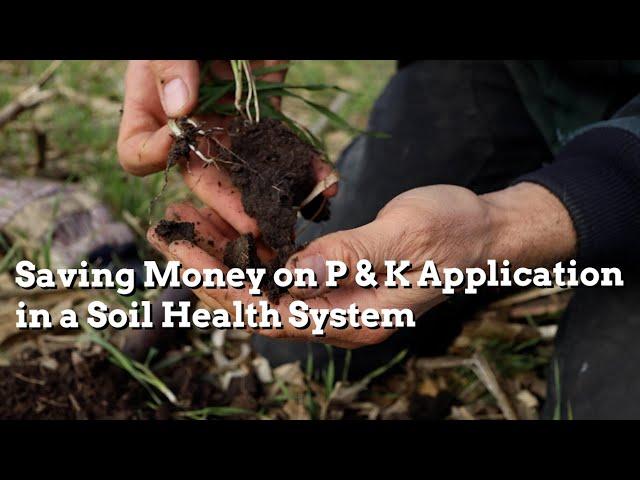 Saving Money on P & K Application in a Soil Health System - Practical Cover Croppers