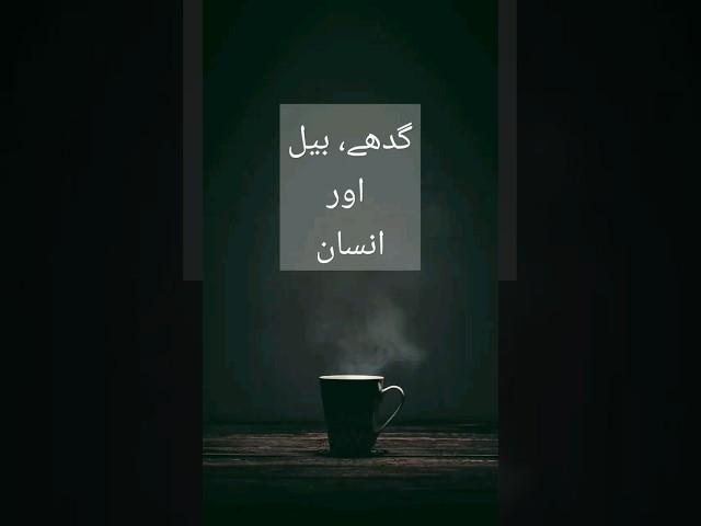 Sheikh Saadi Shirazi Quotes #saadi #shirazi #sheikh Best Quotes of the day #lifequotes#islamicstatus