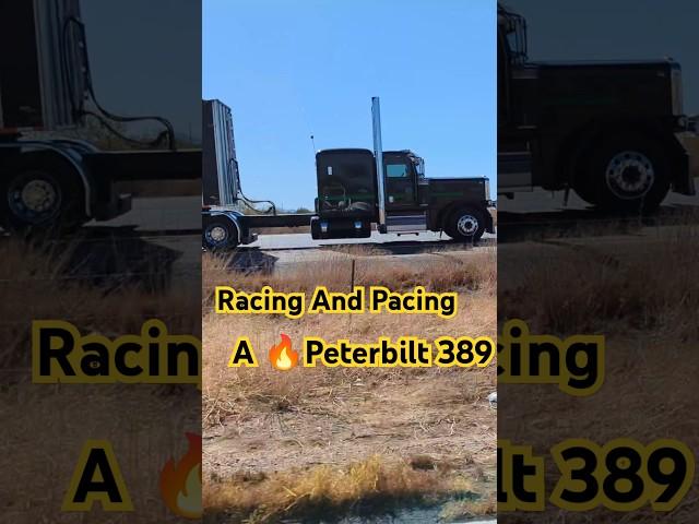 Racing And Pacing A  Peterbilt 389 -- Picacho, Arizona