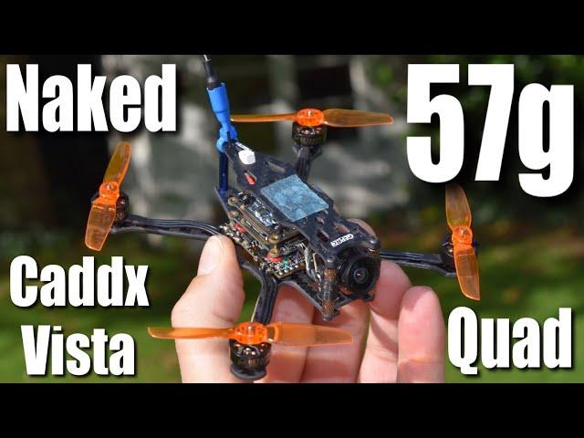 57g 2.5" 2s Naked Caddx Vista Toothpick  (GepRC Phantom HD Killer ? )