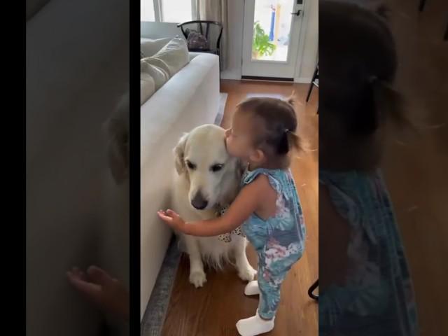 Dogs and Babies Bonding #shorts #youtubeshorts #viral