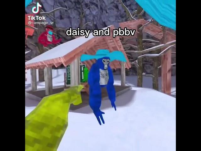 Daisy VS pbbv