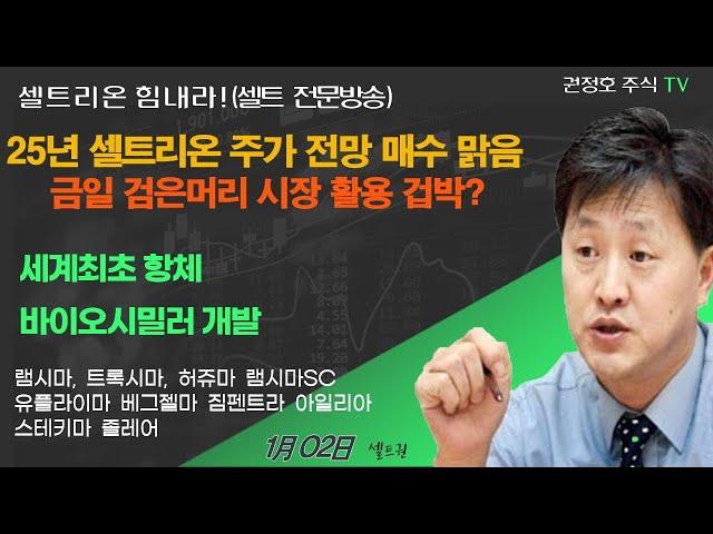 [셀트권] 25년 셀트리온 주가 전망 매우 맑음?