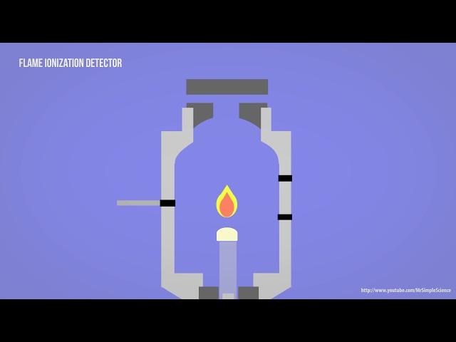 GC - Gas Chromatography - FID - Flame Ionization Detector Animation