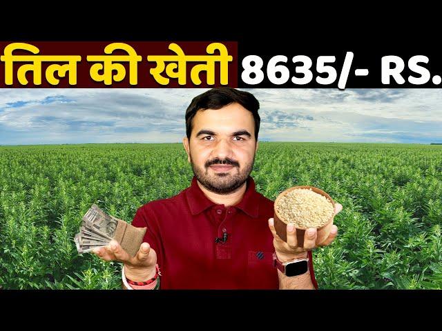 ऐसे होगी तिल की बंपर पैदावार |sesame plant farming | Till ki kheti | Ram till ki kheti | Sesame MSP