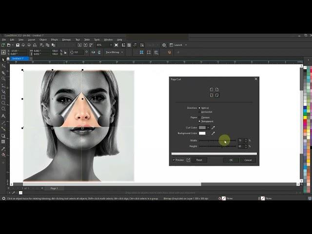Page Curl Effect in Coreldraw - Smart Techniques for Begnniers - Ahsan Sabri