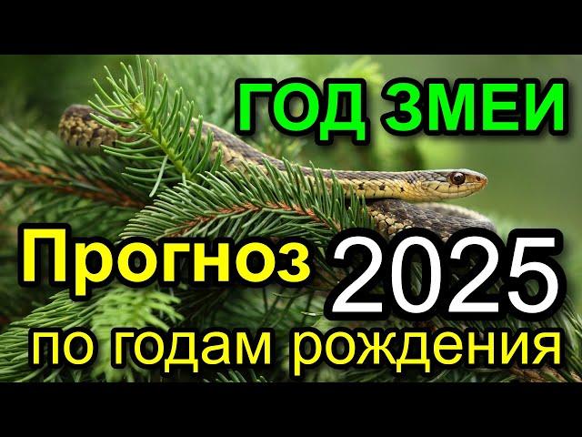 ПРОГНОЗ НА 2025 ГОД ПО ГОДУ РОЖДЕНИЯ. ВОСТОЧНЫЙ КАЛЕНДАРЬ 