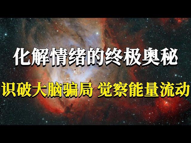 為何我們總是會被負面情緒折磨呢？所謂的情緒管理真的有用嗎？化解情緒的終極奧秘：識破大腦騙局，覺察能量流動！#能量#業力 #宇宙 #精神 #提升 #靈魂 #財富 #認知覺醒 #修行