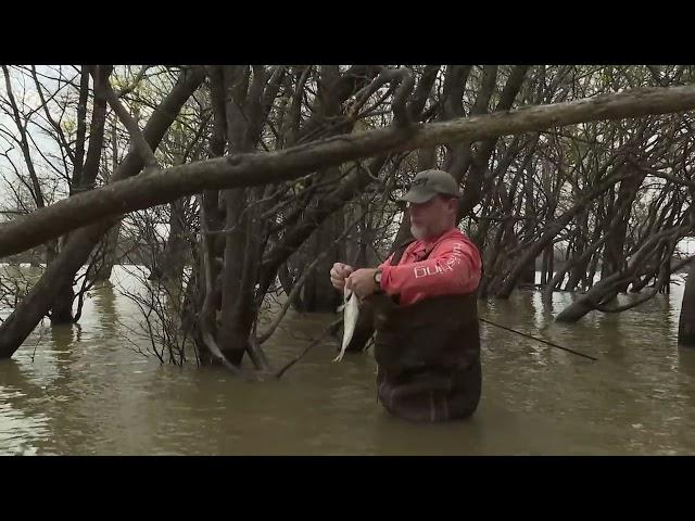 Wade Fishing for Crappie at Grenada Lake