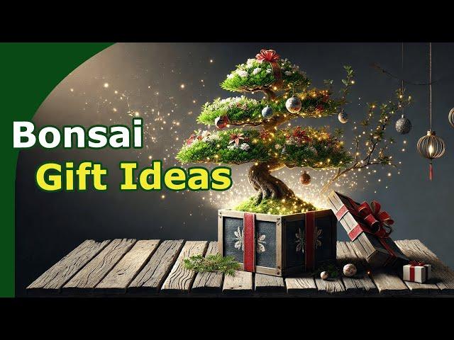 Best Bonsai Gifts to Give!