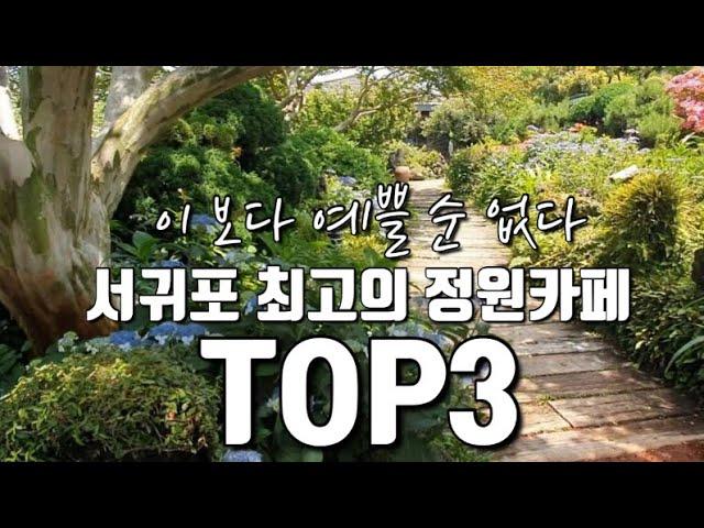 [제주카페]이보다 예쁠 순 없다 서귀포최고의 정원카페TOP3|서귀포정원카페|제주카페|제주여행|마노르블랑|제주핫플카페|카페숨도|인생샷명소|제주핫플카페|제주카페추천|제주카페투어|베케