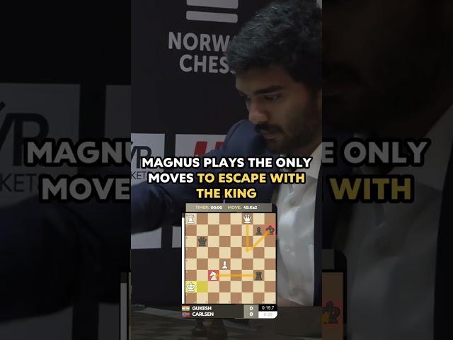 The Story of Magnus vs. Gukesh Game in Norway Chess