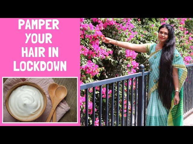 Lockdown Hair Care | Deep Conditioning For Extremely Dry, Damaged, Frizzy Hair | Sushmita's Diaries