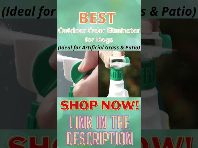 How to Remove Pet Odor from Artificial Grass with Simple Green Outdoor Odor Eliminator | #Shorts