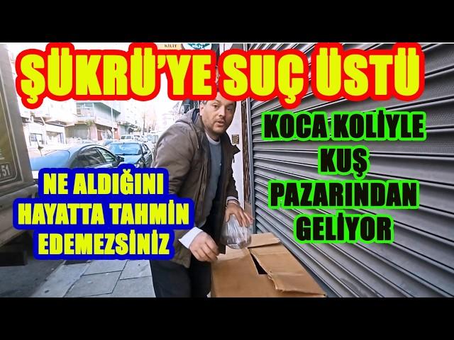 GÜVERCİNE DOYMAYAN ŞÜKRÜ SONUNDA BUNU DA YAPTI