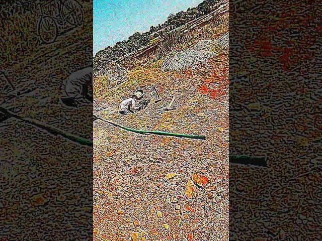 5 March 2025