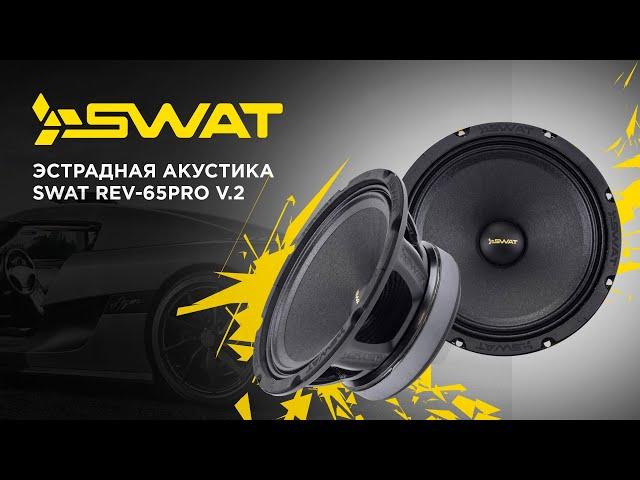 Эстрадная акустика SWAT REV-65Pro v.2