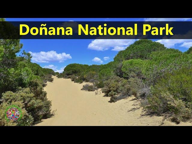 Best Tourist Attractions Places To Travel In Spain | Doñana National Park Destination Spot