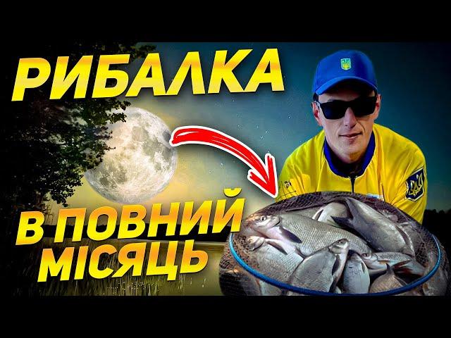 ЛЯЩ В ПОВНИЙ  МІСЯЦЬ - Фідерна Рибалка на ляща