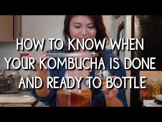 How to Know When Your Kombucha is Done/Ready to Bottle