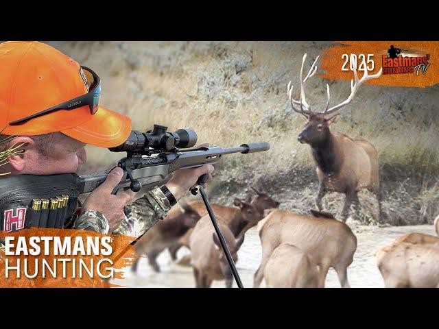 Herd bull ambush! OTC Wyoming Elk | Eastmans' Hunting TV