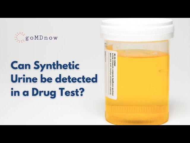 Can Synthetic Urine be detected in a Drug Test