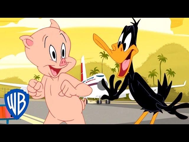 Looney Tunes | Let's Go on Spring Break! | @WB Kids