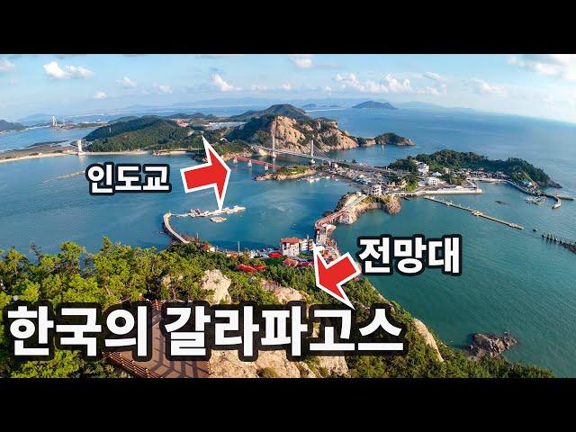 한국의 갈라파고스 드디어 인도교 완성! 가을에 꼭 걸어야 할 트레킹 코스!