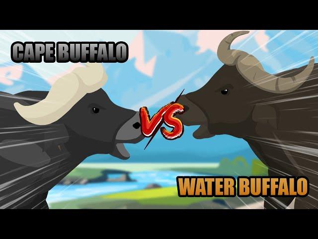 Cape Buffalo vs Water Buffalo | Savannah vs Jungle Animals [S1] | Animal Animation