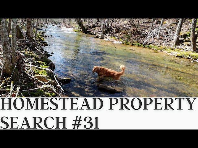 Homestead Property Search in Western North Carolina | Property Search Vlog #31