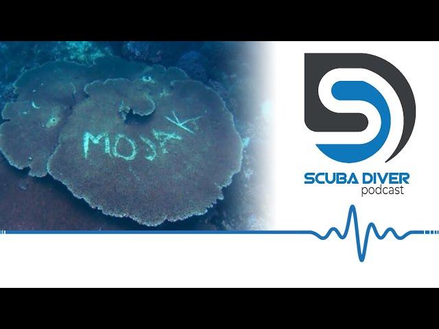 Divers Graffiti Coral #scuba #news #podcast