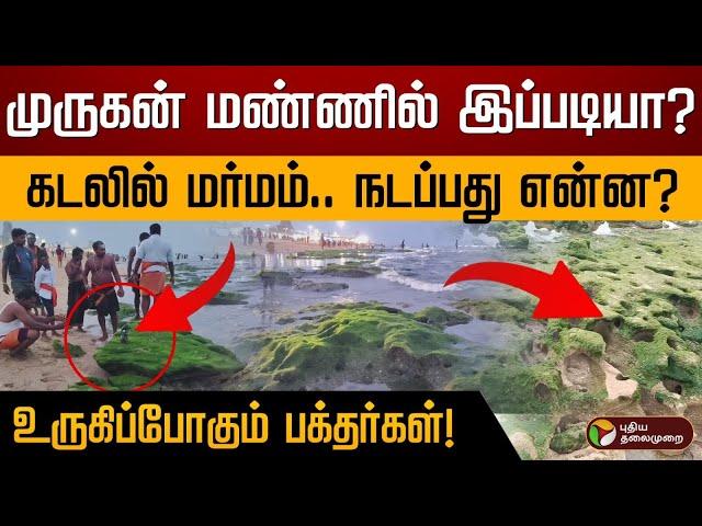 முருகன் மண்ணில் இப்படியா? கடலில் மர்மம்.. நடப்பது என்ன ?  உருகிப்போகும் பக்தர்கள்! | Thiruchendur