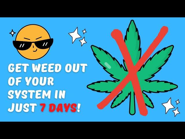 THC Detox: How to get weed out of your system in 7 days