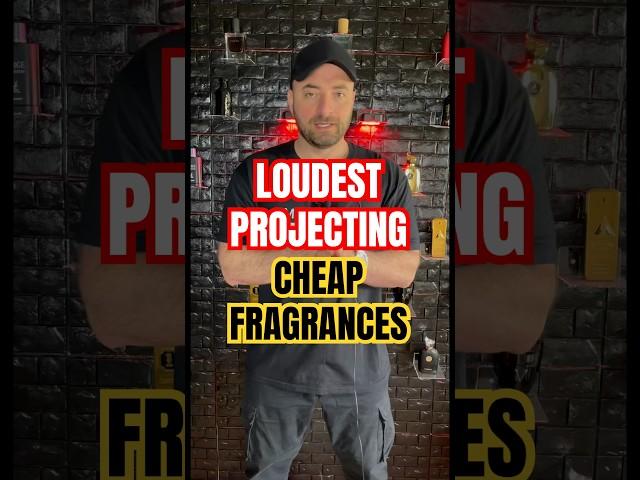 5 of Loudest Projecting Cheap Fragrances in My Collection