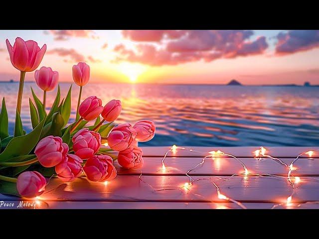 The most beautiful melody in the world! You can listen to this music forever! Great music